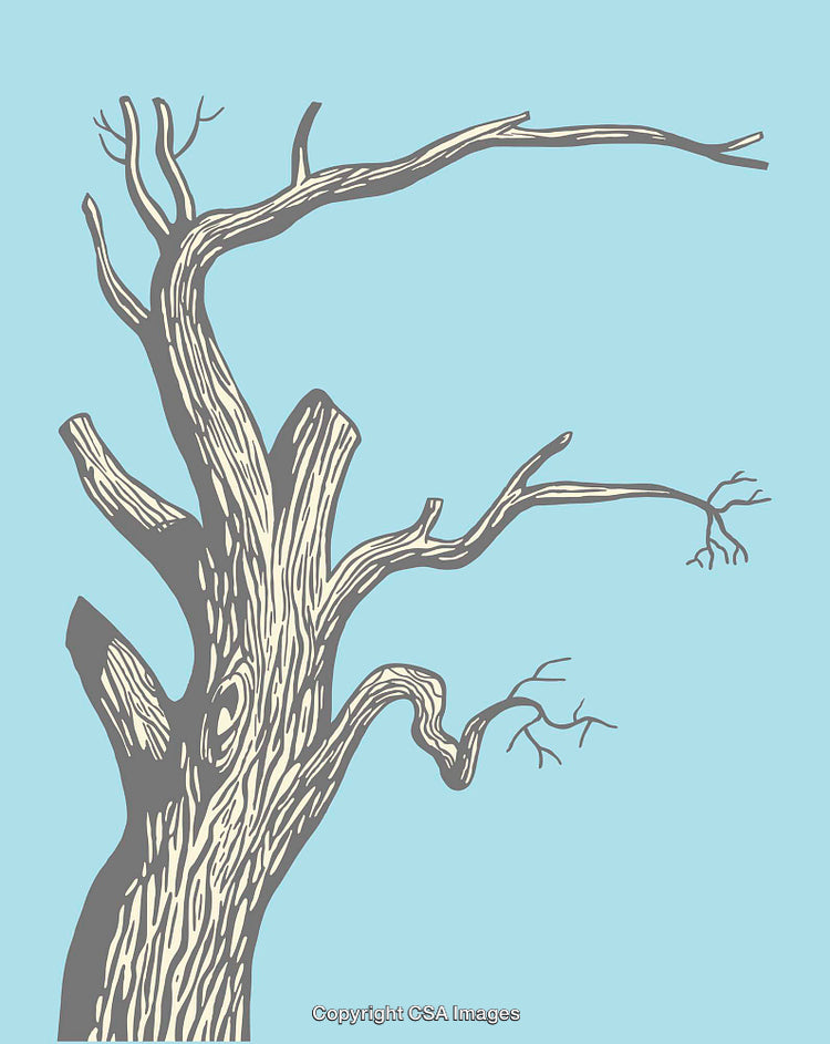 Illustration of a Leafless Tree in Minimalistic Line Art Design