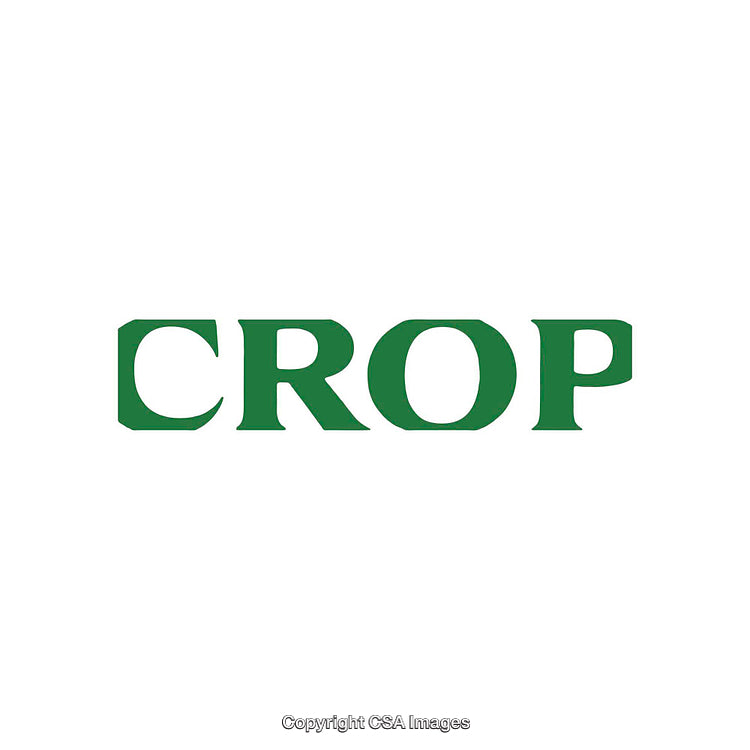 Minimalistic Green Text Displaying the Word 'Crop' on White Background