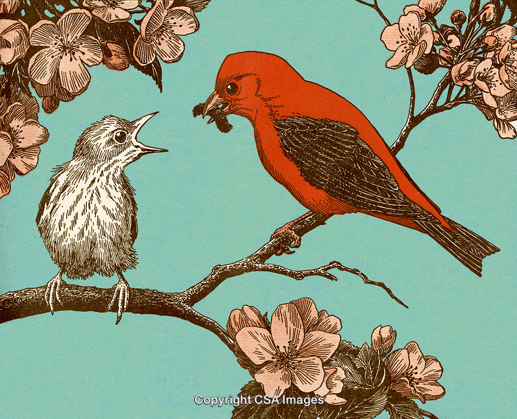 Artistic Illustration of Adult and Young Bird Amid Blooming Flowers