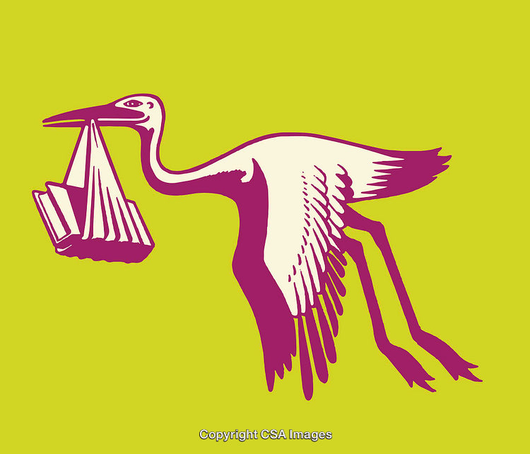 Colorful Design of Stork Carrying Bundle in Vibrant Line Art Style