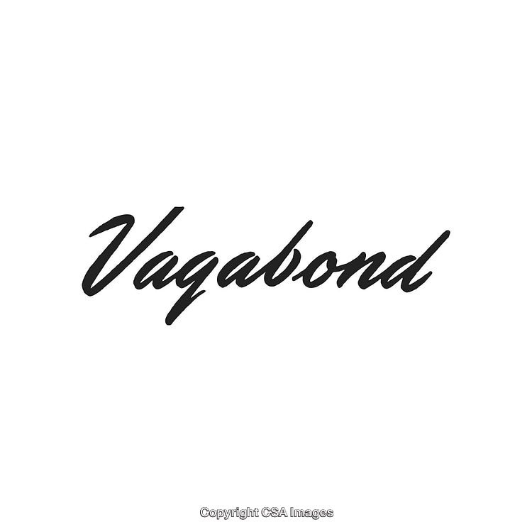 Elegant Script Font Displaying the Word Vagabond on White Background