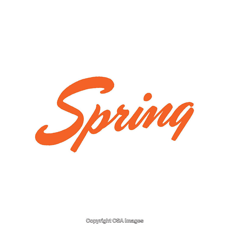 Orange Typography of the Word Spring on a White Background