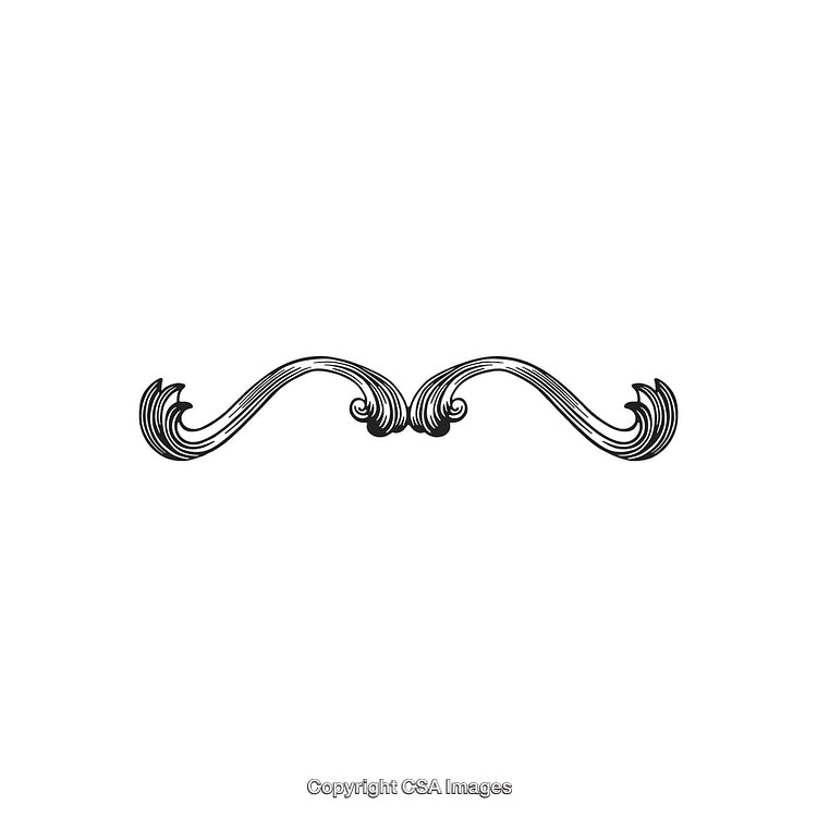 Black and White Decorative Ornamental Flourish Design Element Illustration