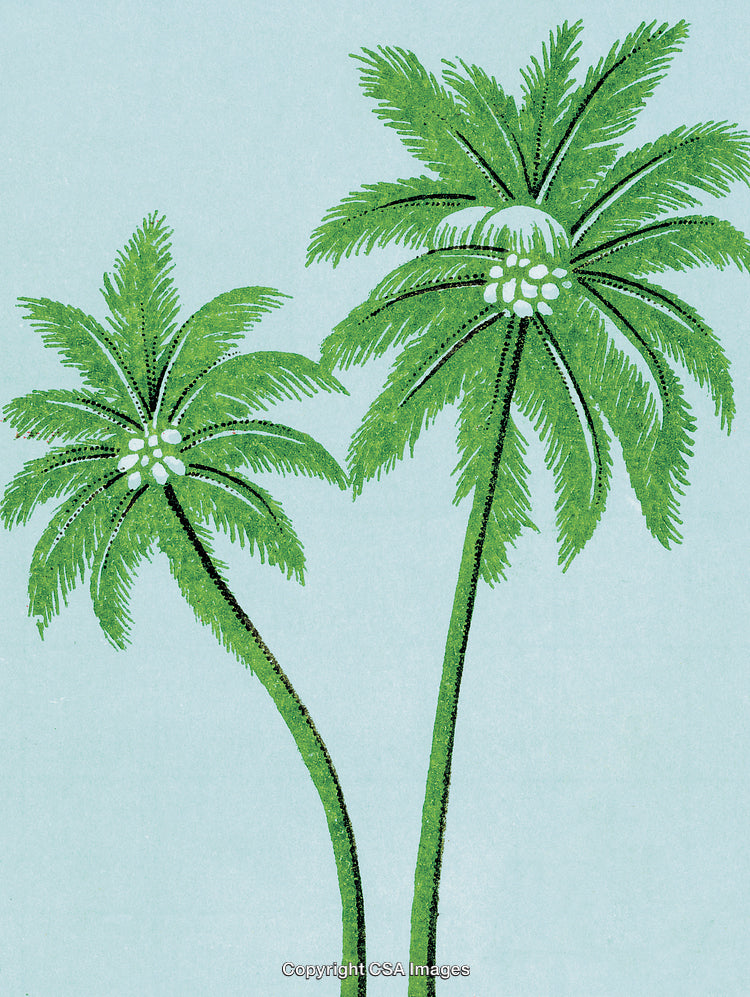 Illustration of Green Palm Trees Against Light Blue Background