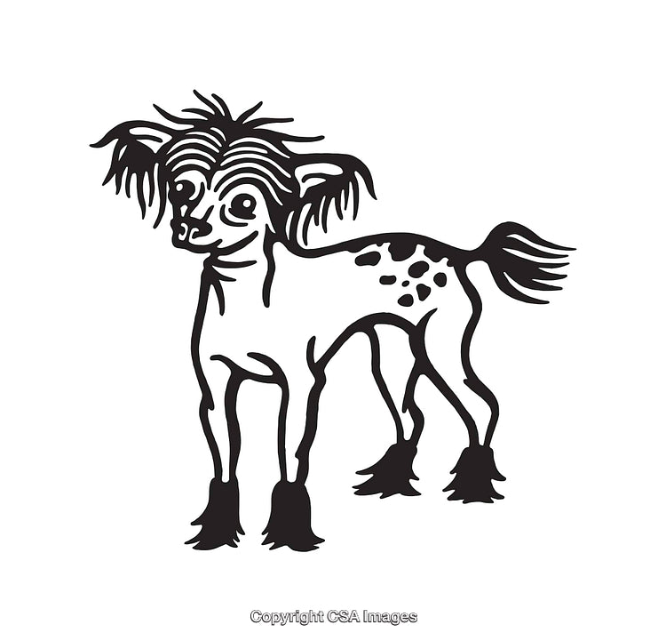 Stylized Line Art Illustration of a Small, Distinctive Spotted Dog