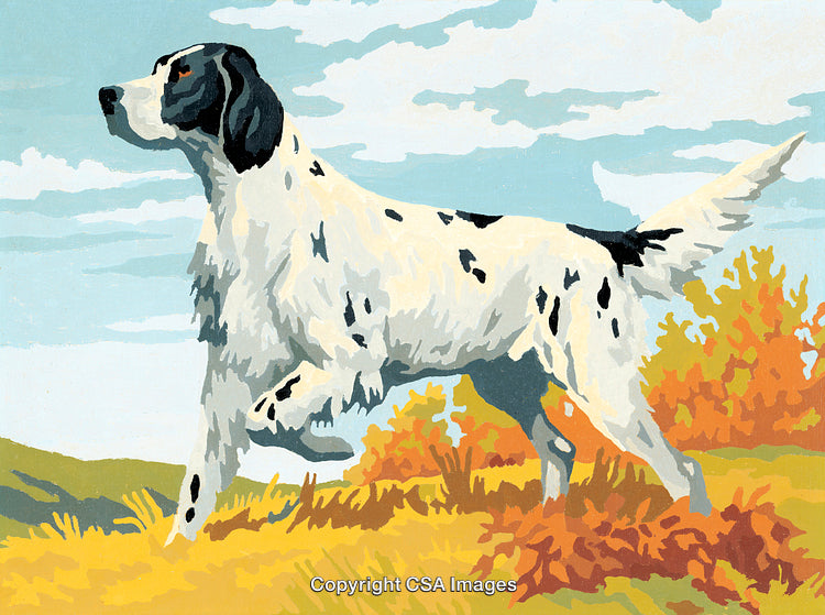 Elegant Pointing Dog in Vibrant Landscape Colors, Paint by Numbers Style
