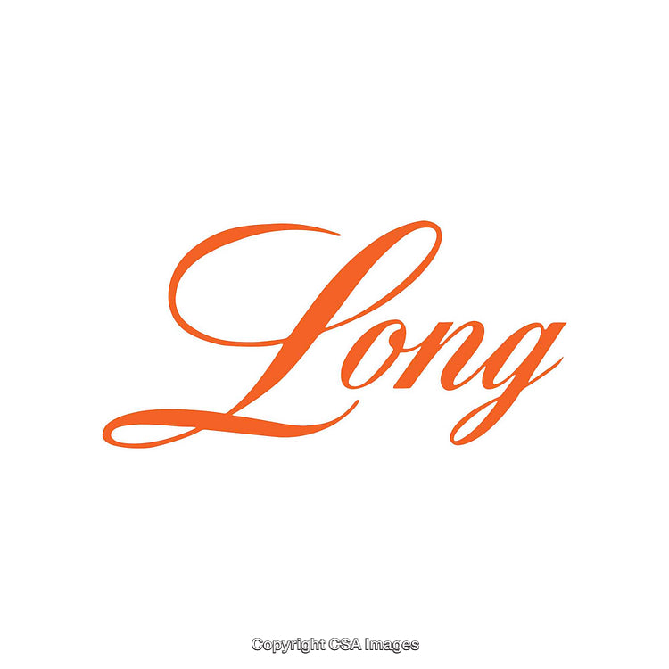 High-Quality Orange Long Script Word Artwork on White Background