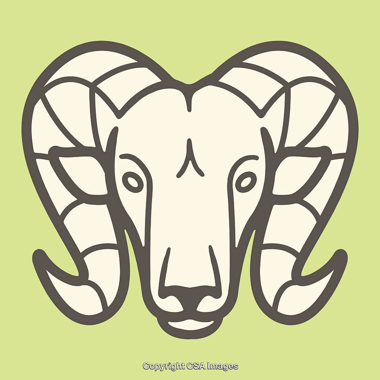 Stylized Illustration of a Ram's Head with Detailed Horns