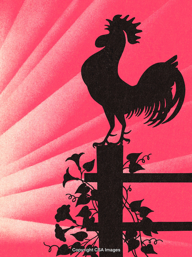 Silhouette of a Rooster Perched on a Fence with Vines at Sunrise