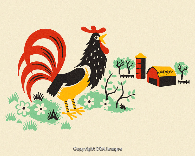 Rustic Farmyard Scene Featuring Rooster and Barn in Vintage Style Illustration