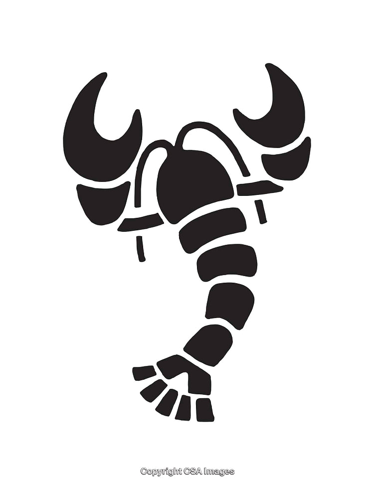 Black and White Scorpion Line Art Design with Bold Contrast
