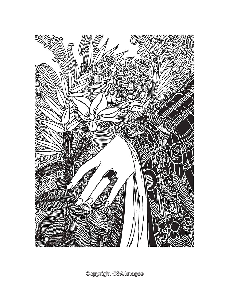 Intricate Black and White Line Art Illustration of Floral and Botanical Details