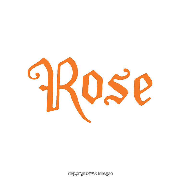 Elegant Typographic Design Featuring Ornate Lettering in a Vibrant Orange Color