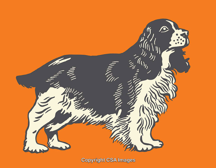 Vintage Stylized Illustration of a Dog on an Orange Background