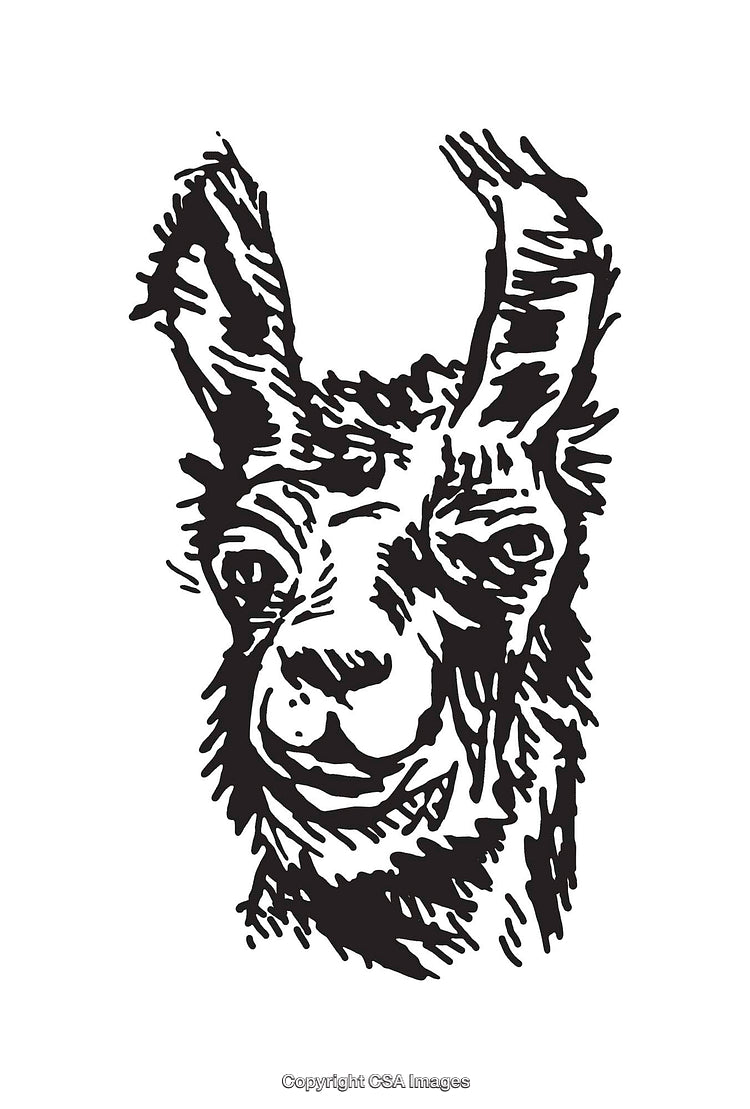 Black and White Line Art Illustration of a Llama