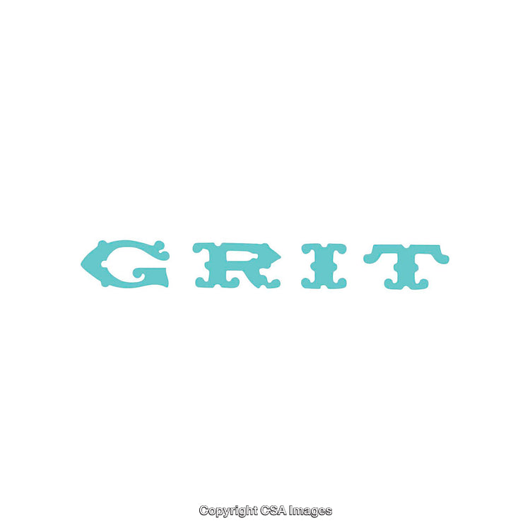 Minimalist Typography Featuring The Word Grit in Unique Blue Font Design