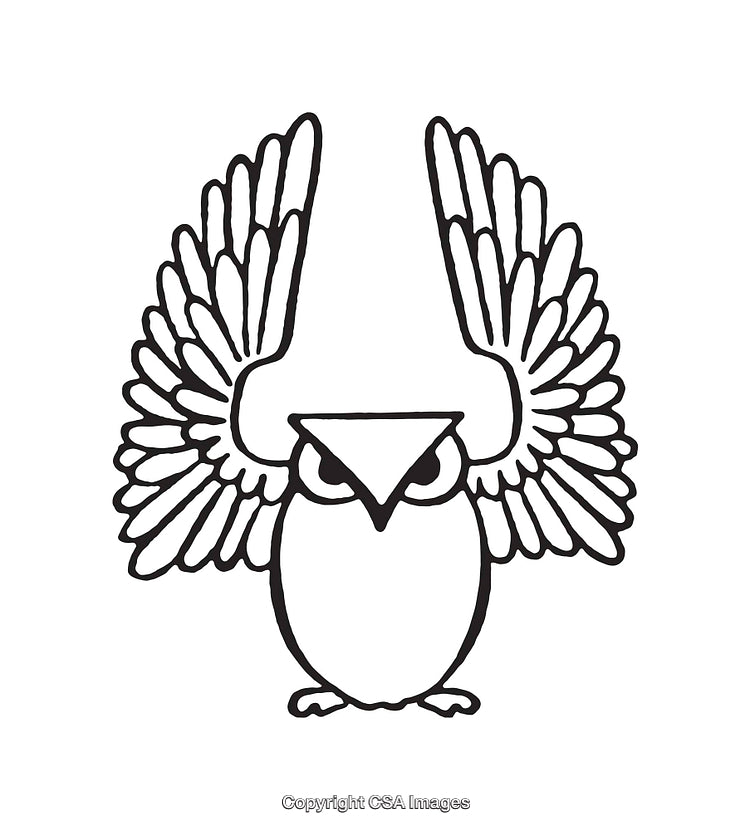 Black and White Line Art of a Stylized Owl with Spread Wings