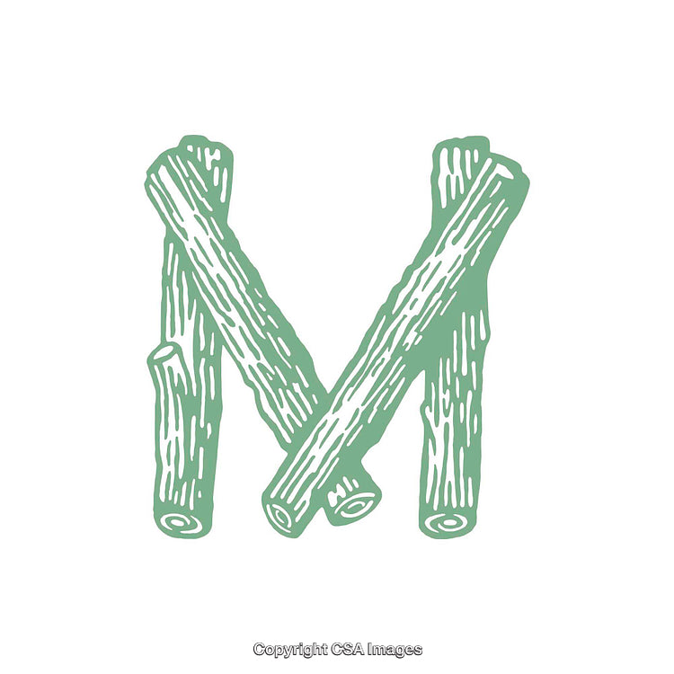 Rustic Letter M Illustration Created with Textured Wooden Sticks Design