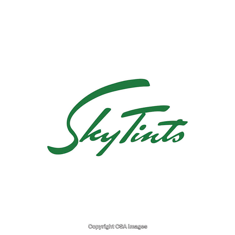 Stylized Green SkyTints Logo on Minimal White Background