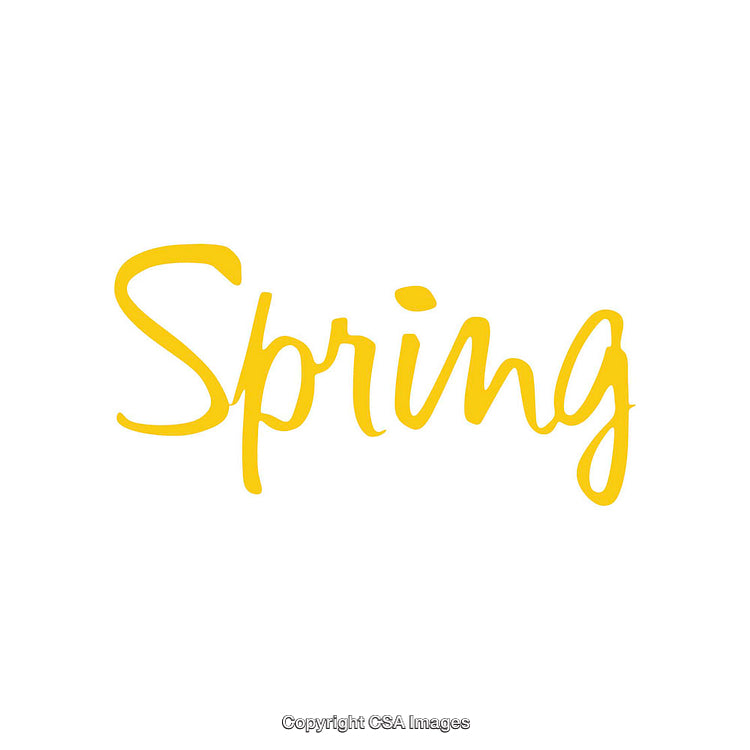Yellow Handwritten Script Highlighting the Word Spring on a White Background