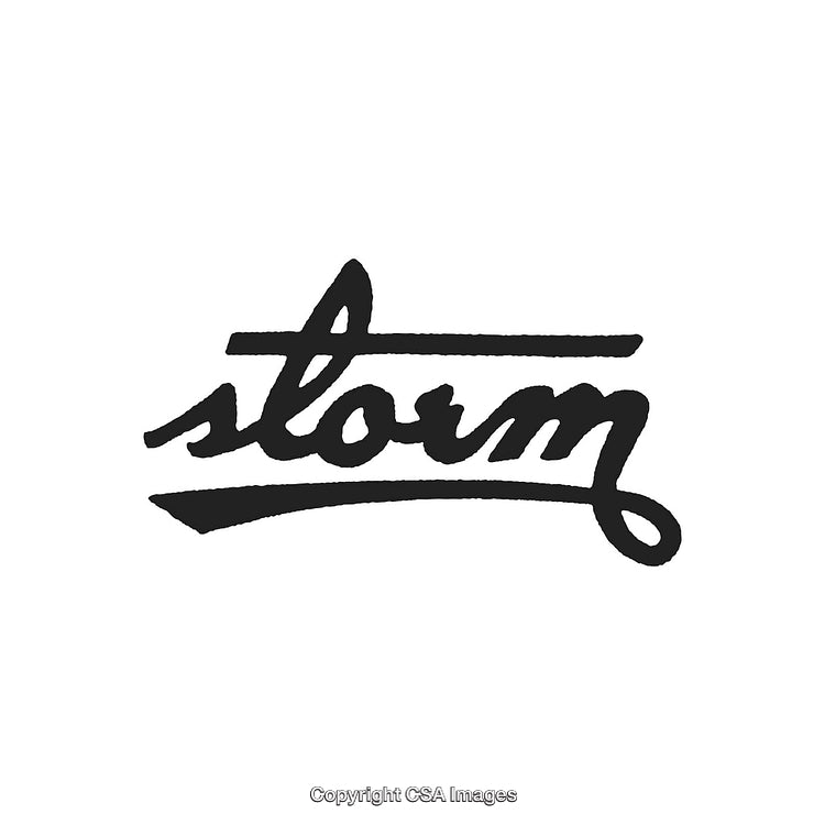Handwritten Style Artistic 'Storm' Logo Design with Bold Strokes