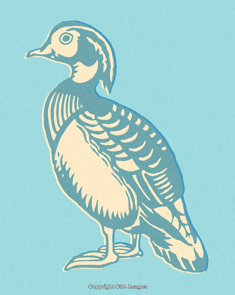 Illustrated Bird Silhouette with Simplistic Design on Blue Background