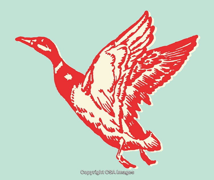 Vintage-Style Red Duck Illustration on a Light Blue Background