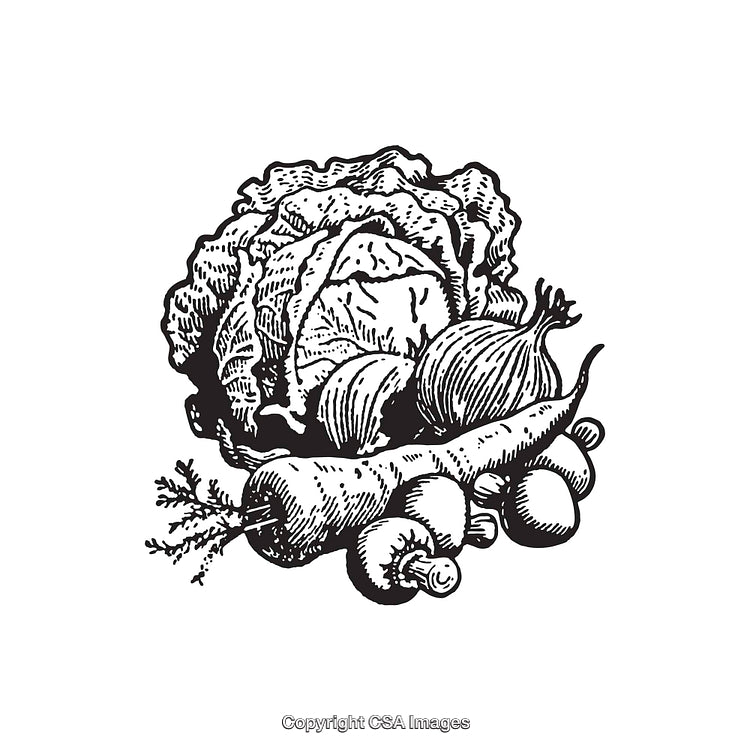 Black and White Illustration of Vegetables Including Cabbage and Carrot