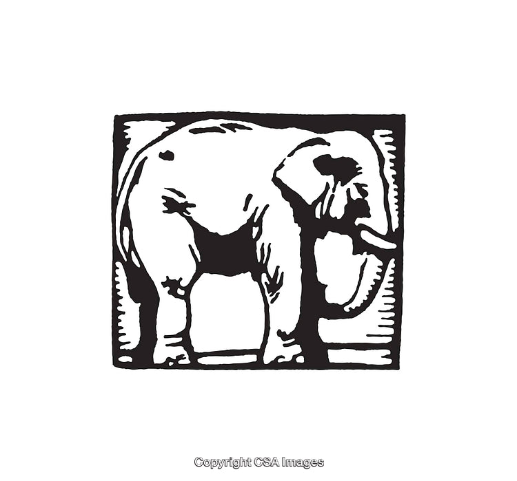Black And White Line Art Illustration of an Elephant in a Square Frame
