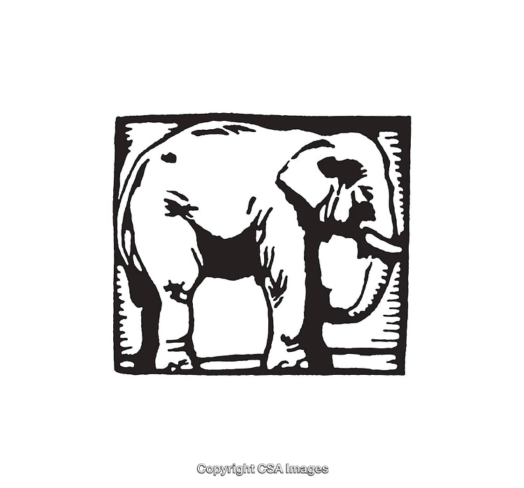 Black And White Line Art Illustration of an Elephant in a Square Frame