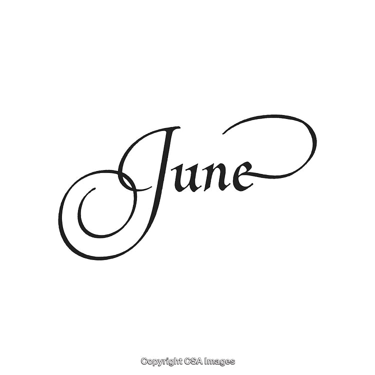 Elegant Script Calligraphy of the Word June in Decorative Style