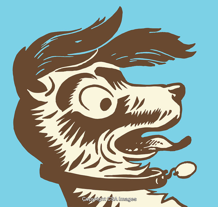 Colorful Illustration of an Expressive Dog with Bold Line Art Style
