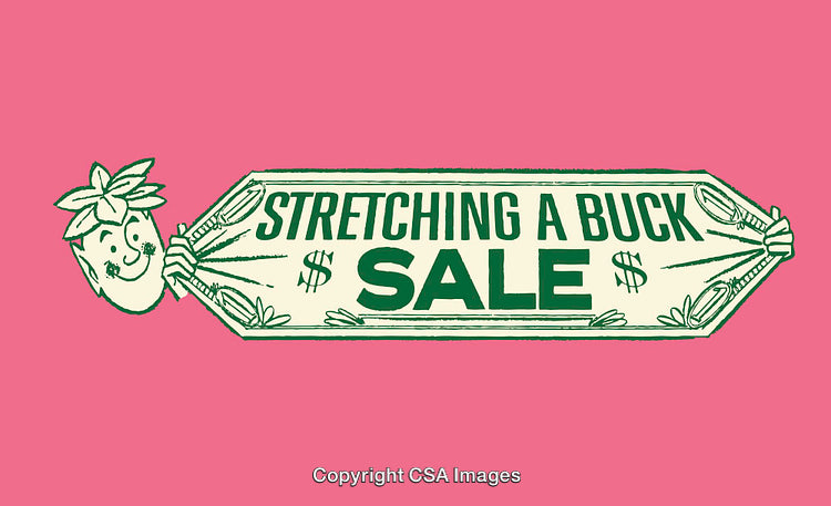 Vintage-Style Illustrative Sale Banner with Playful Strawberry Design