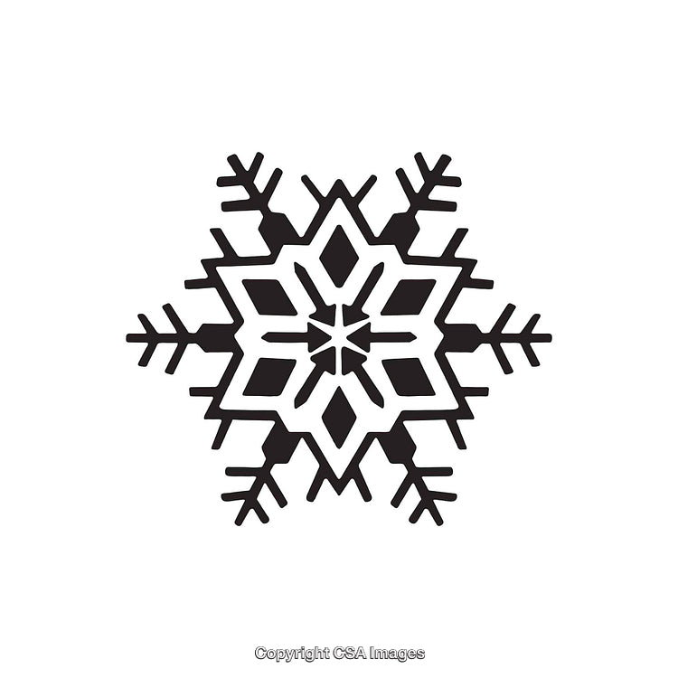 Black and White Snowflake Illustration in a Geometric Style