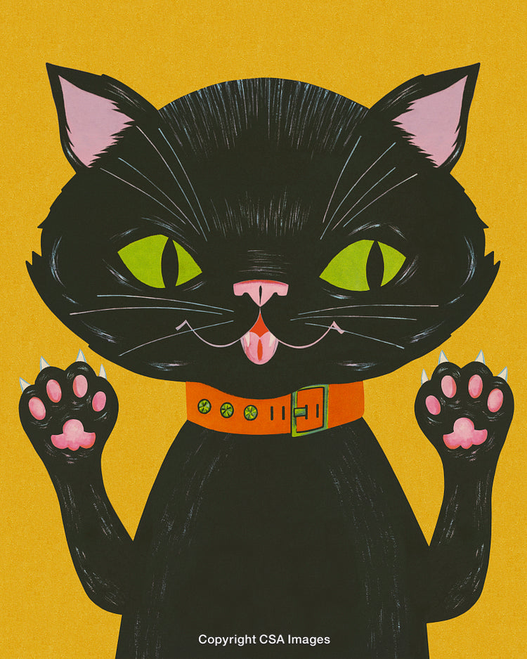 Illustrated Black Cat With Orange Collar and Playful Expression on Yellow Background