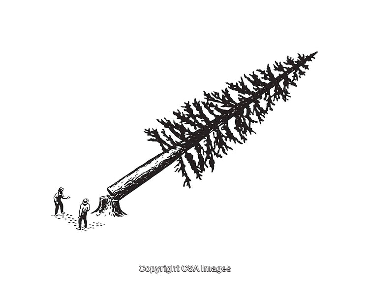 Black and White Artwork of Tree Felling Activity by Workers