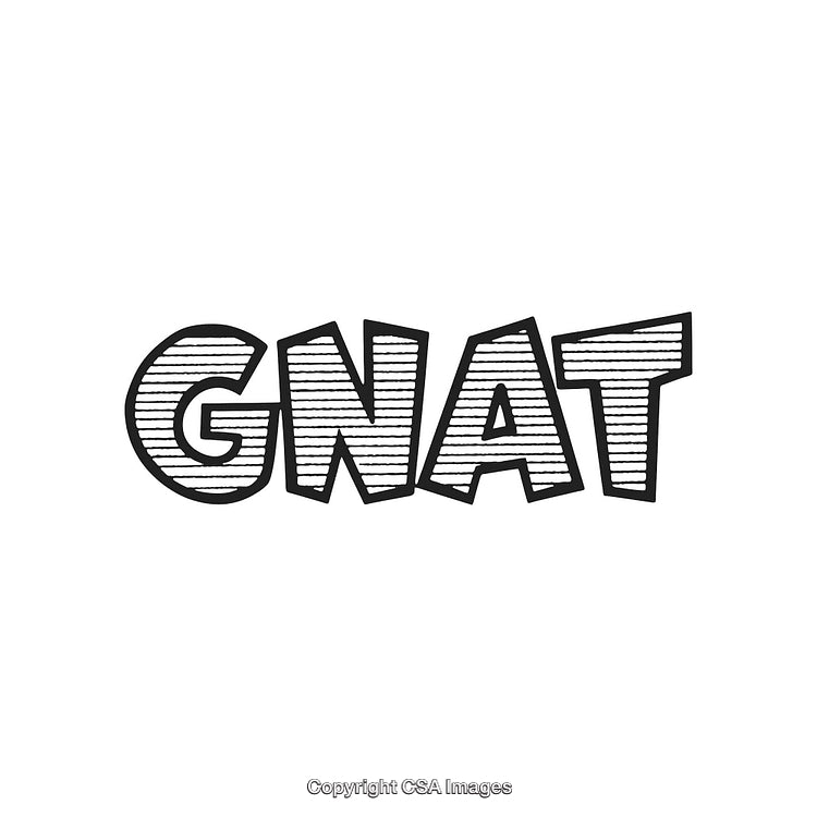 Bold Text Artwork Displaying the Word Gnat with Lined Pattern Design