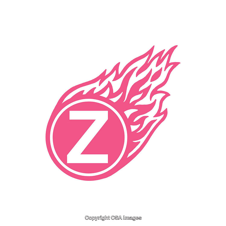 Pink Flaming Circle With Letter 'Z' in Bold Design