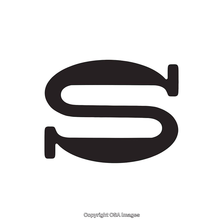 Minimalistic Black Letter S on a White Background
