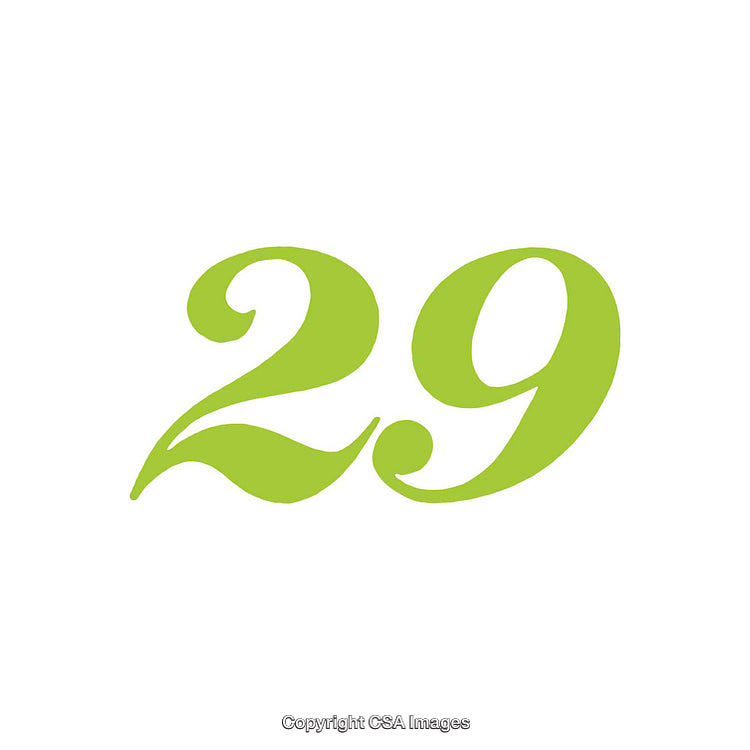 Green Number 29 in Decorative Font on White Background