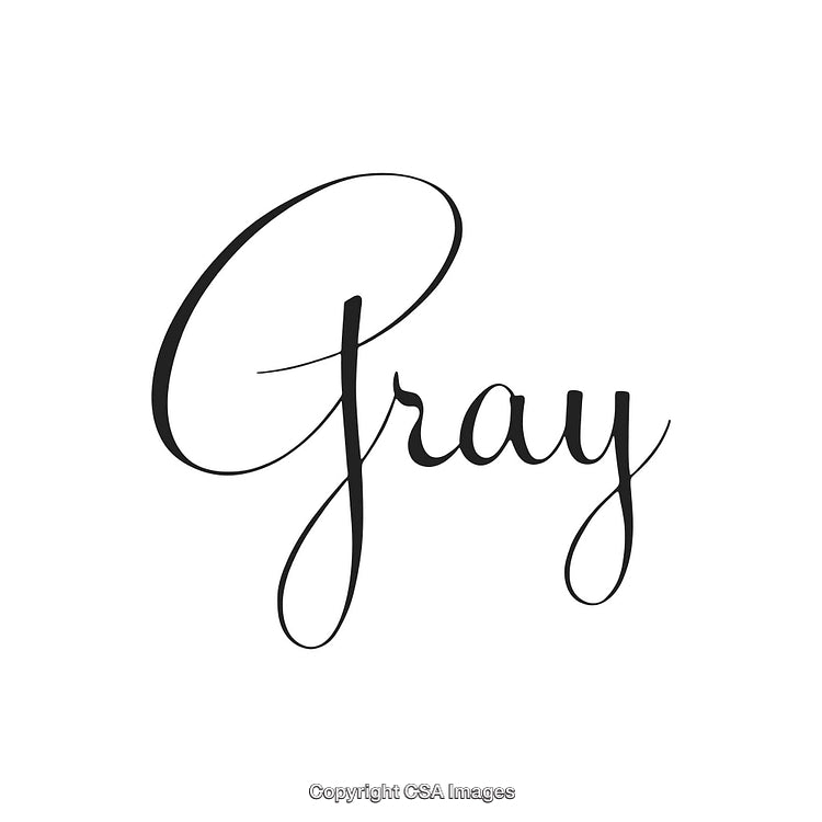 Elegant Script Typography Featuring the Word Gray on a White Background