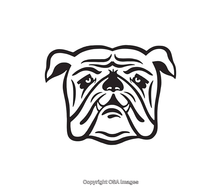 Black and White Line Art Illustration of Bulldog Face with Classic Features