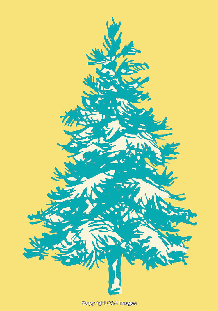 Colorful Illustration of an Evergreen Tree on a Bright Background