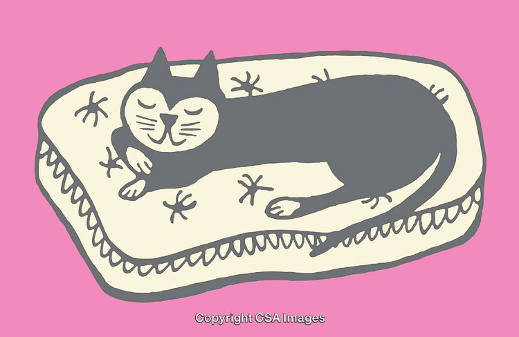 Illustration of a Cat Resting on a Comfy Mattress with a Pink Background