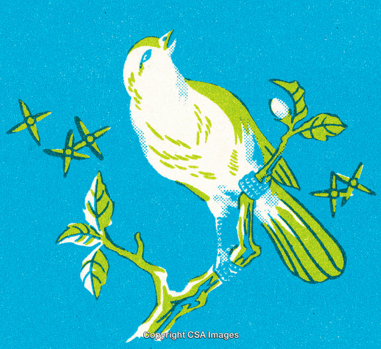 Vintage Illustration of a Bird Singing on a Branch in Nature