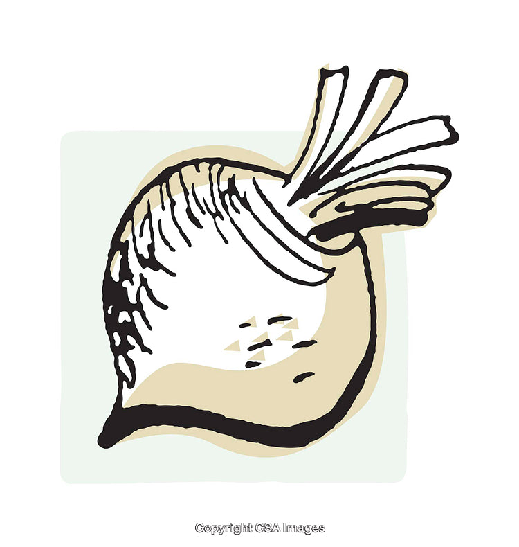 Illustration of a Turnip with Vibrant Colors and Artistic Design