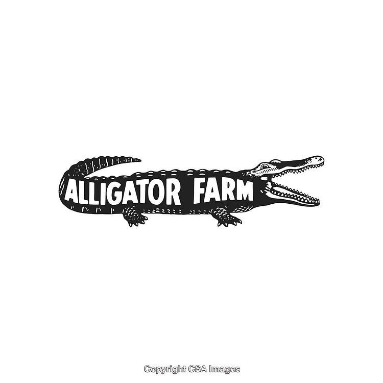 Illustration of Alligator Farm Text Inside Reptile Silhouette Design