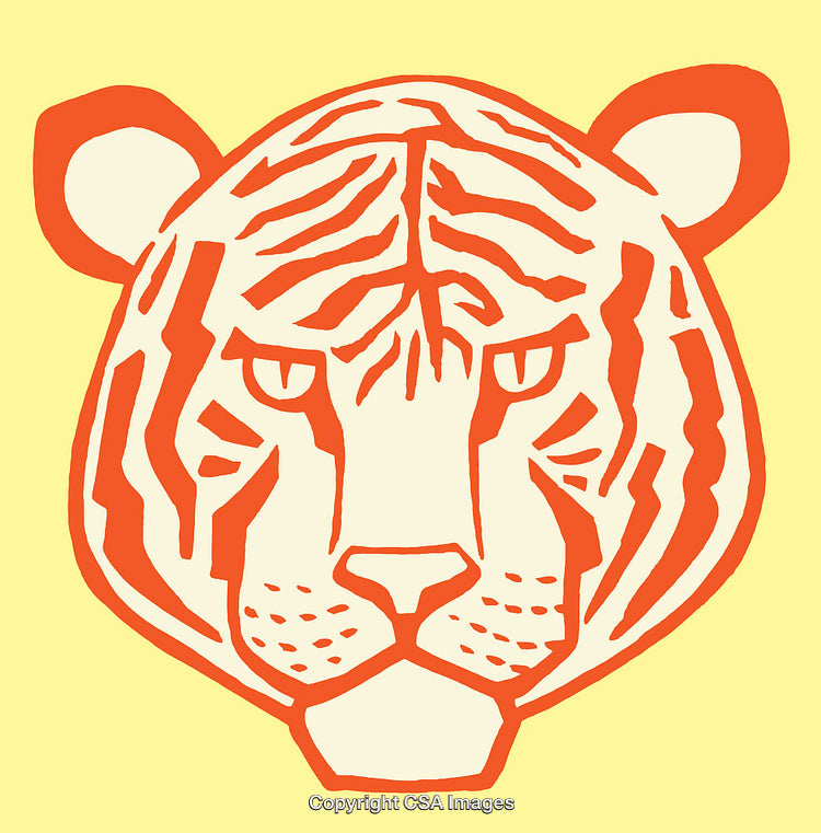 Vibrant Line Art Illustration of a Tiger's Face in Warm Tones