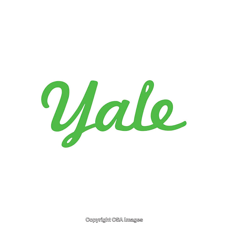 Green Handwritten Script on White Background for Branded Design
