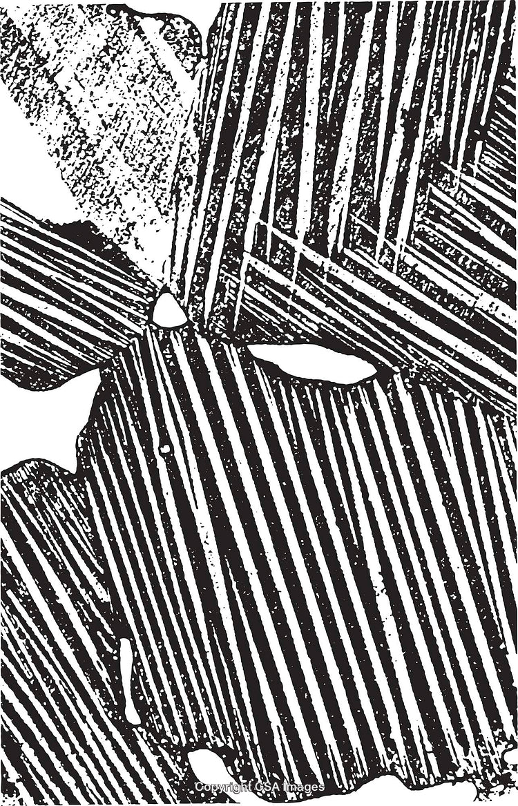Abstract Black and White Pattern with Intriguing Line Textures